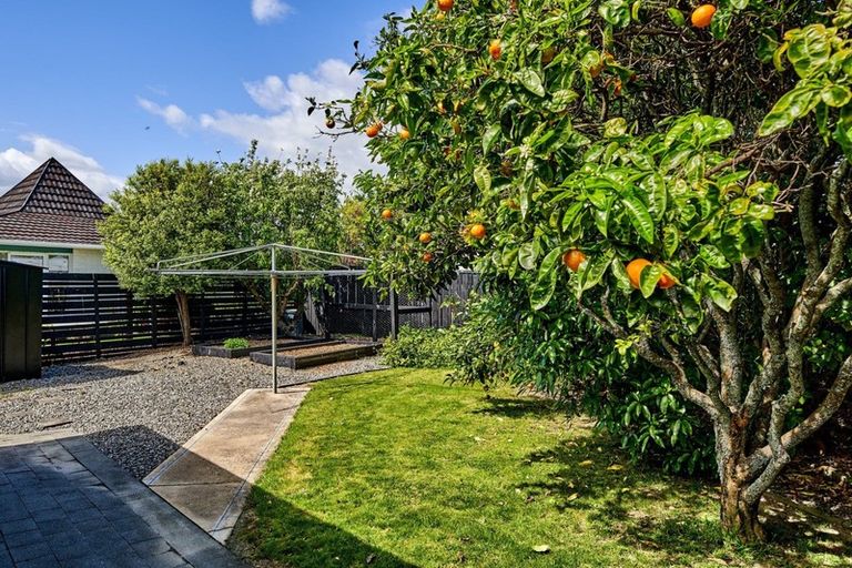 Photo of property in 21 Rewarewa Crescent, Waikanae, 5036