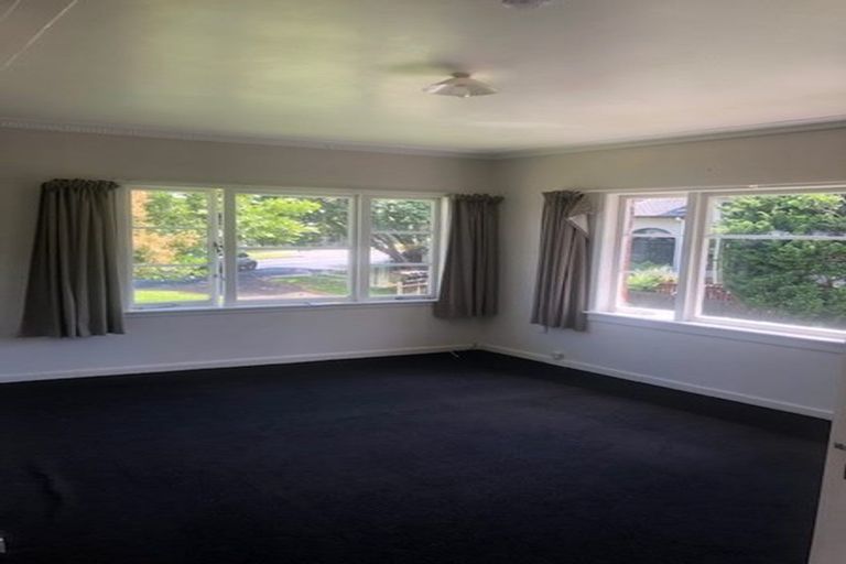 Photo of property in 162 Hutchinson Avenue, New Lynn, Auckland, 0600