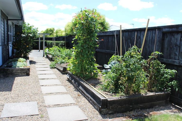 Photo of property in 10a Madison Street, Cambridge, 3434