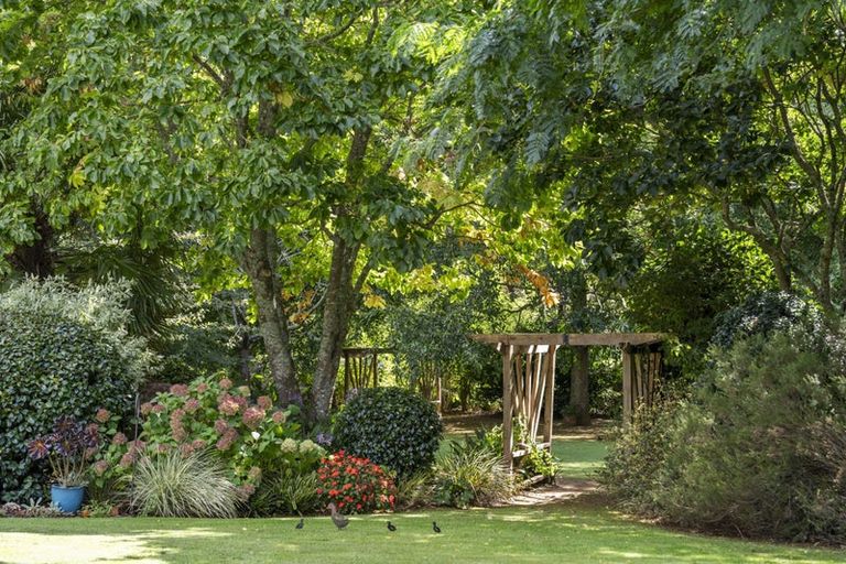 Photo of property in 8 Herbert Drive, Whangamata, 3620