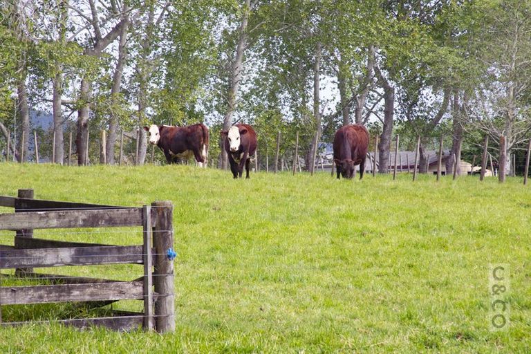 Photo of property in 832 Old North Road, Waimauku, 0882