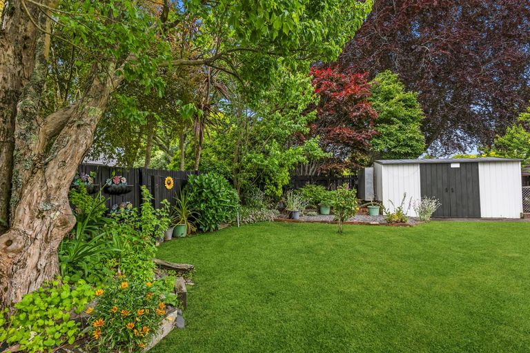 Photo of property in 64 Burwood Road, Matamata, 3400