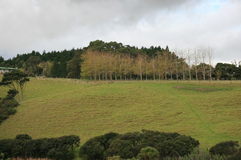 Photo of property in 56e Kaipara Coast Highway, Helensville, 0871