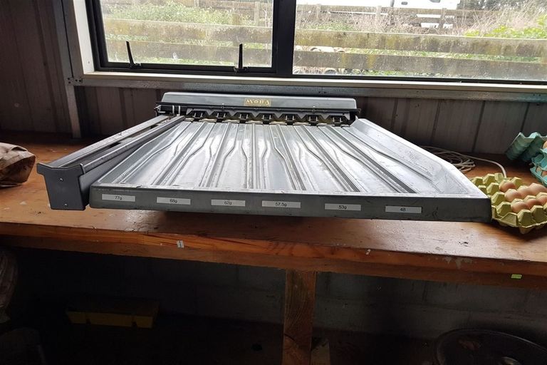 Photo of property in 389 Waiuku Road, Puni, Pukekohe, 2678