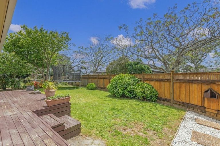 Photo of property in 24 Snowdon Avenue, Terrace End, Palmerston North, 4410