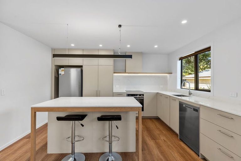 Photo of property in 47 Gunn Road, Albert Town, Wanaka, 9305