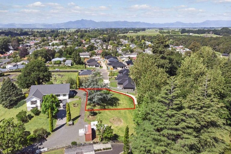 Photo of property in 8 Memorial Rise, Morrinsville, 3300