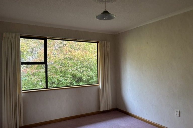 Photo of property in 15 Lark Street, Oamaru, 9400