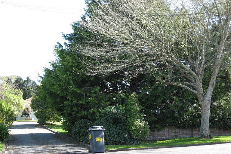 Photo of property in 8 Skerman Street, Marton, 4710