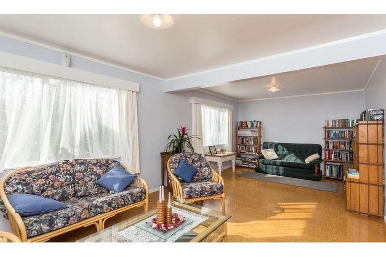 Photo of property in 48 Hinerau Street, Henderson, Auckland, 0612