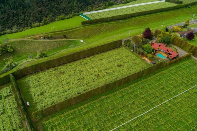 Photo of property in 706 No 1 Road, Te Puke, 3182