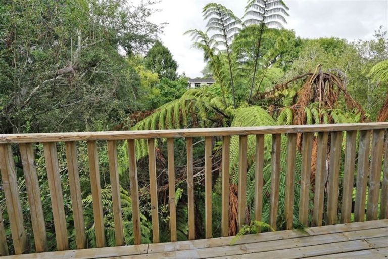 Photo of property in 229a Bankwood Road, Chartwell, Hamilton, 3210