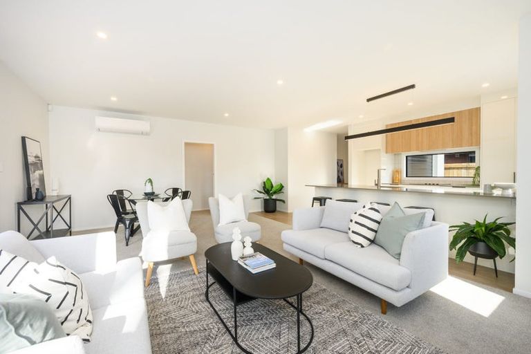 Photo of property in 10c Limbrick Street, Terrace End, Palmerston North, 4410