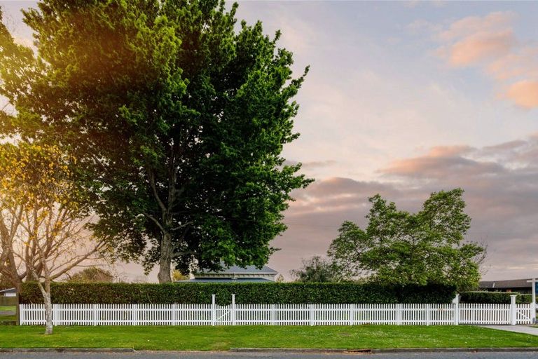 Photo of property in 60 King Street, Cambridge, 3434