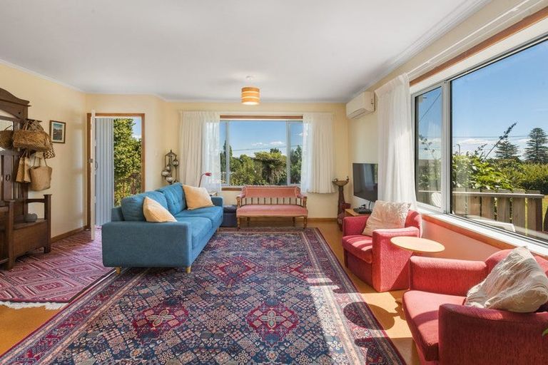 Photo of property in 100 Mill Street, Thames, 3500