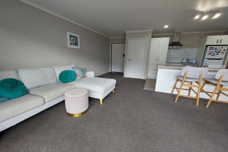 Photo of property in 188u3 Ulster Street, Whitiora, Hamilton, 3200