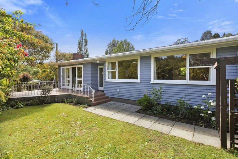 Photo of property in 46 Bryant Street, Bradford, Dunedin, 9011