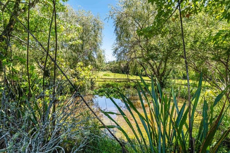 Photo of property in 48 Pomona Road, Kumeu, 0891