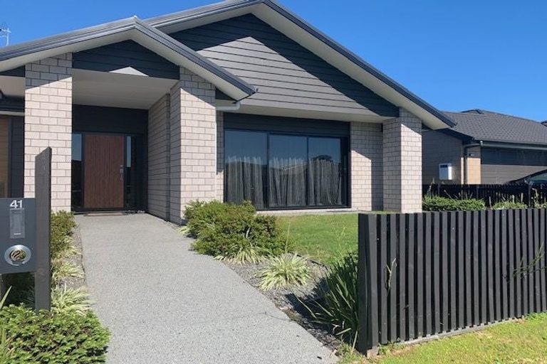 Photo of property in 41 Lulu Avenue, Chartwell, Hamilton, 3210