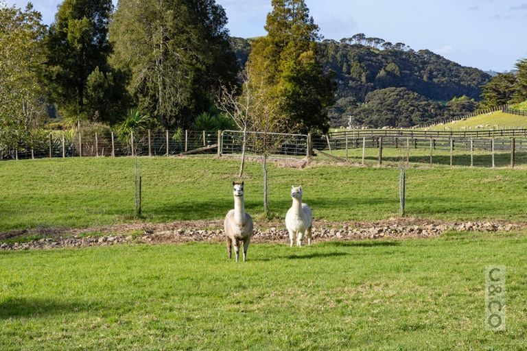 Photo of property in 93 Alf Access Road, Helensville, 0875