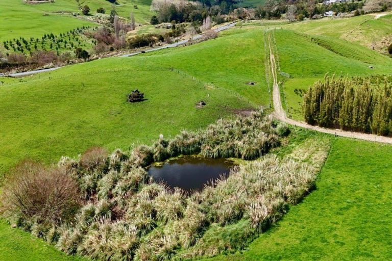 Photo of property in 123 Whakapirau Road, Wellsford, 0973