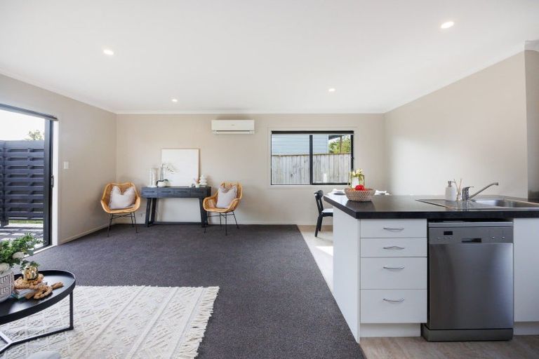 Photo of property in 31a Hulme Street, Roslyn, Palmerston North, 4414