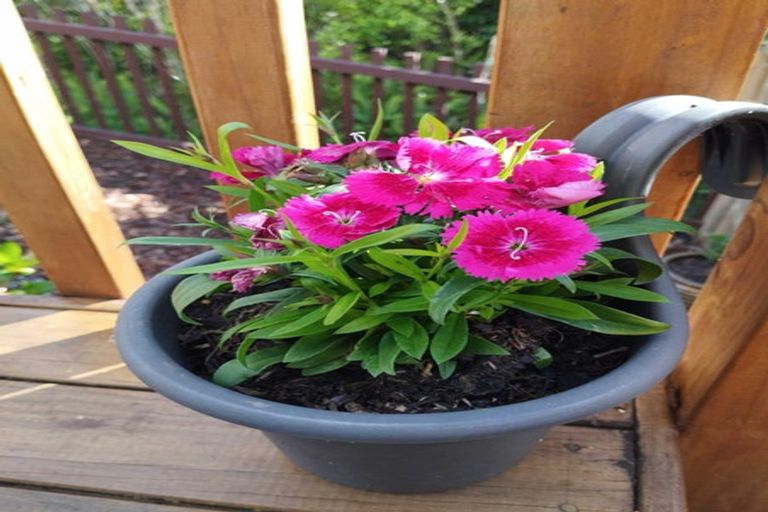 Photo of property in 10 Ketu Court, Albany Heights, Auckland, 0632