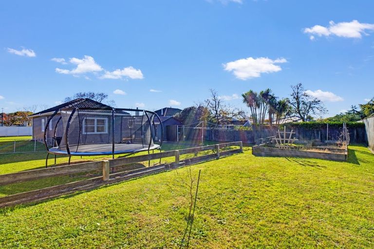 Photo of property in 81 Guy Avenue, Takaro, Palmerston North, 4410
