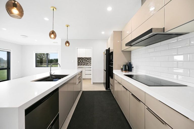 Photo of property in 233a Raynes Road, Rukuhia, Hamilton, 3282