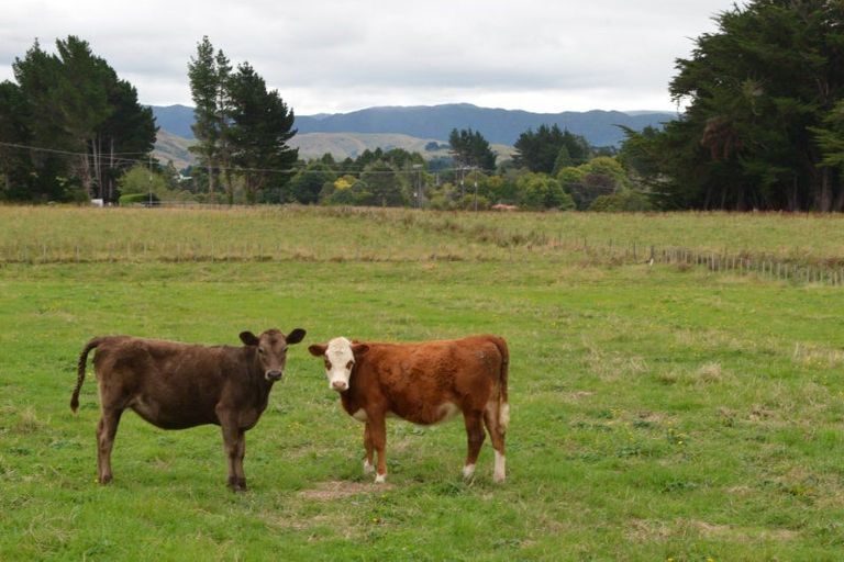 Photo of property in 40 Bright Street, Eketahuna, 4900