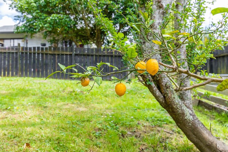 Photo of property in 52 Hinerau Street, Henderson, Auckland, 0612