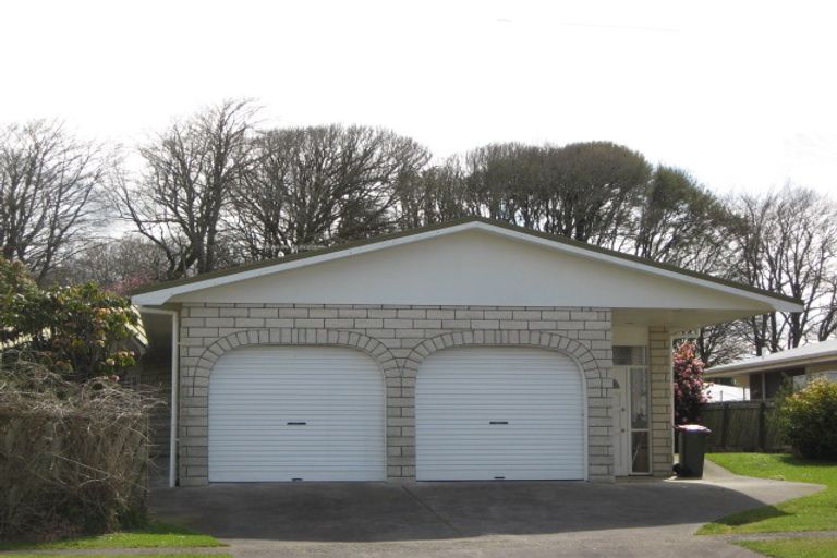 Photo of property in 78 Celia Street, Stratford, 4332