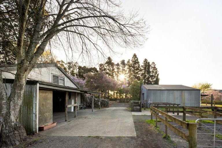 Photo of property in 365 Maungatautari Road, Cambridge, 3494