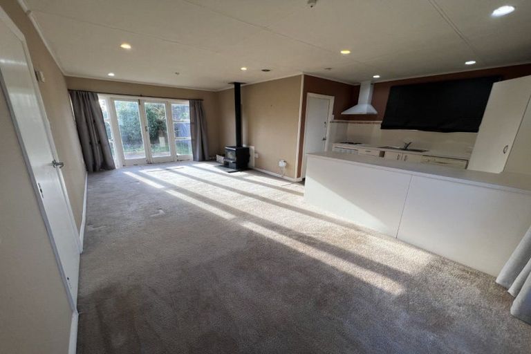 Photo of property in 111 Limbrick Street, Terrace End, Palmerston North, 4410