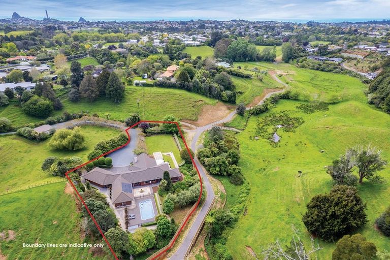 Photo of property in 377 Frankley Road, Ferndale, New Plymouth, 4310