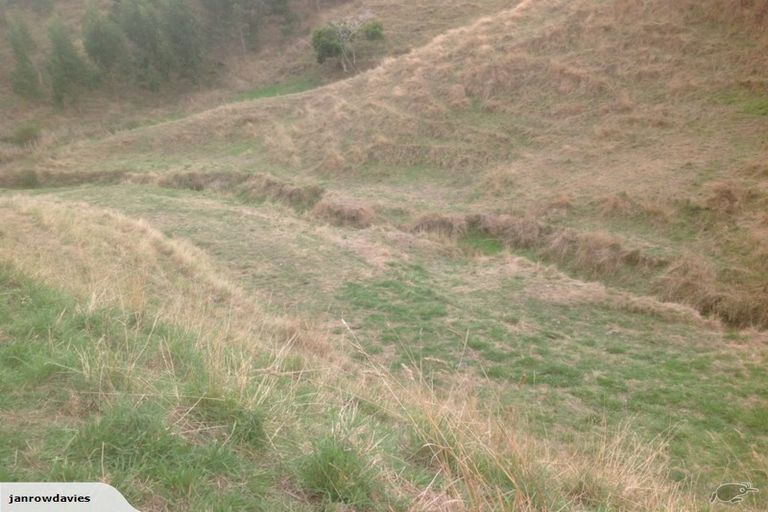 Photo of property in 265 Maungakawa Road, Cambridge, 3496