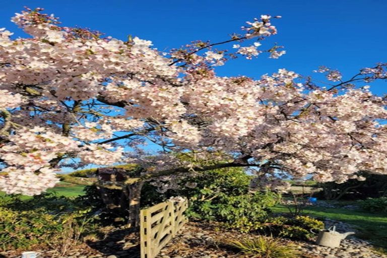 Photo of property in 327 Smillies Road, Georgetown, Oamaru, 9494