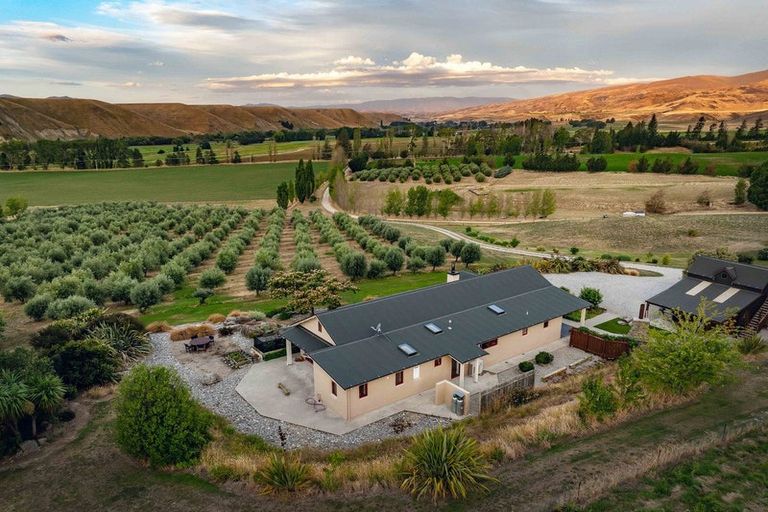 Photo of property in 58 Thomsons Gorge Road, Tarras, Cromwell, 9383