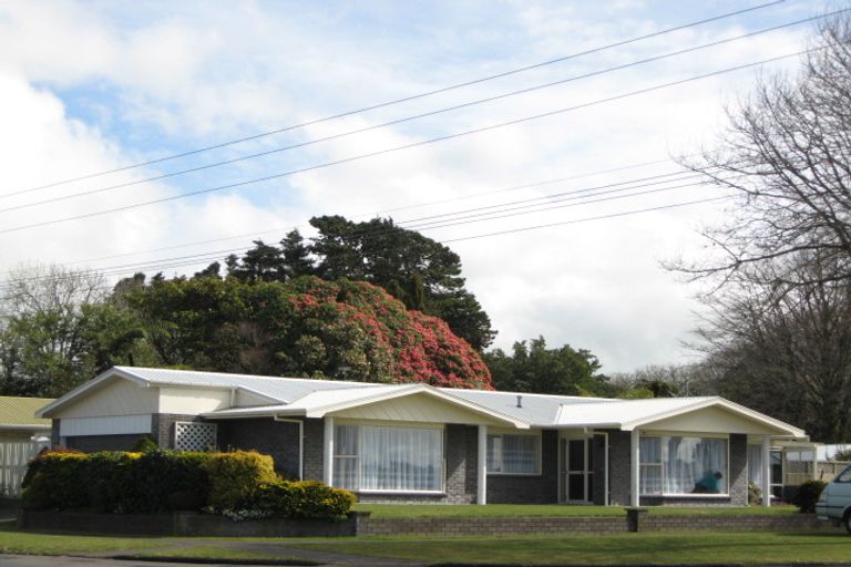 Photo of property in 80 Celia Street, Stratford, 4332