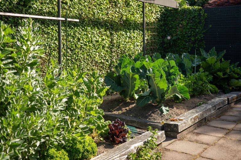 Photo of property in 166 Ilam Road, Ilam, Christchurch, 8041