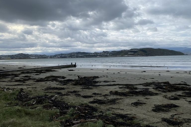 Photo of property in 4/84 Freyberg Street, Lyall Bay, Wellington, 6022