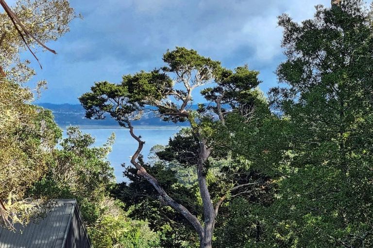 Photo of property in 14 Hebe Place, Birkenhead, Auckland, 0626