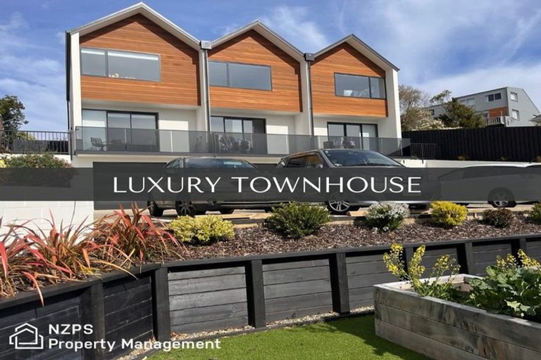 Photo of property in 45e Ann Street, Kaikorai, Dunedin, 9010
