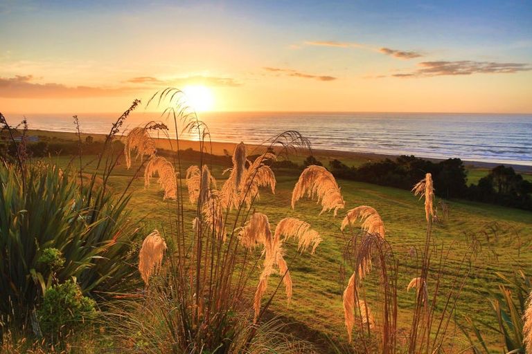 Photo of property in 672c State Highway 67, Mokihinui, Westport, 7891