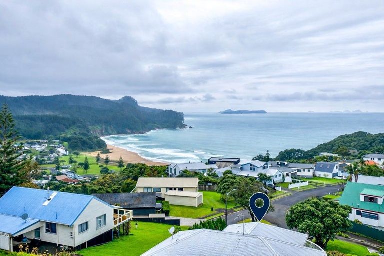 Photo of property in 442 Onemana Drive, Onemana, Whangamata, 3691