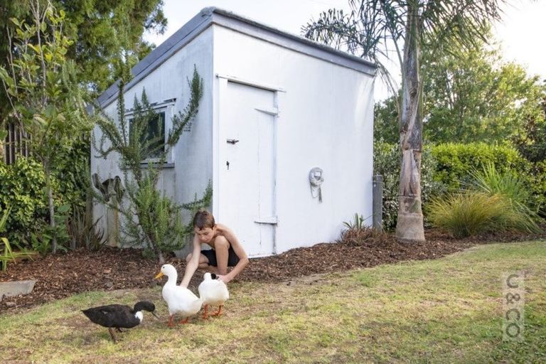 Photo of property in 18 Kent Terrace, Riverhead, 0820