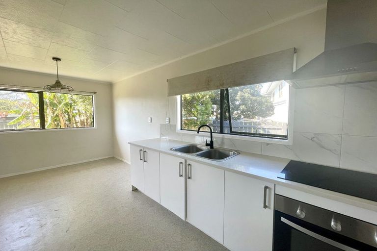 Photo of property in 133 Finlayson Avenue, Clendon Park, Auckland, 2103