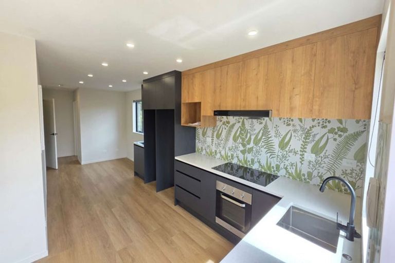 Photo of property in 40 Anne Mclean Drive, Bayview, Auckland, 0629