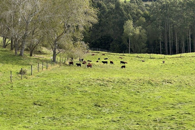 Photo of property in 61 Whites Road, Putaruru, 3483