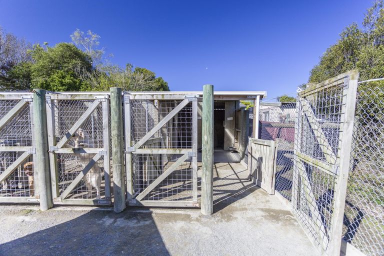 Photo of property in 96 Reservoir Road, Oamaru North, Oamaru, 9400